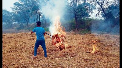 Farm fires in Punjab dipped from 3,916 on Friday, the highest this season so far, to 2,467 on Saturday, according to data from the Punjab Remote Sensing Centre. Farm fires in Punjab dipped from 3,916 on Friday, the highest this season so far, to 2,467 on Saturday, according to data from the Punjab Remote Sensing Centre.