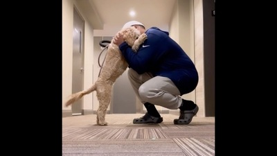 Luna the Mini Cockapoo dog giving her human a warm hug before going out. (Instagram/@lunatheminicockapoo) Luna the Mini Cockapoo dog giving her human a warm hug before going out. (Instagram/@lunatheminicockapoo)