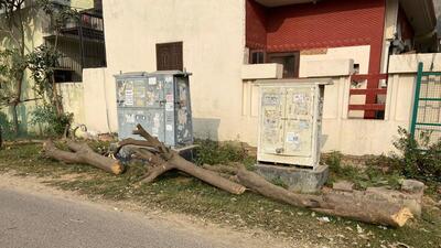 Over 15 trees chopped off in G Noida sans forest dept permission Over 15 trees chopped off in G Noida sans forest dept permission