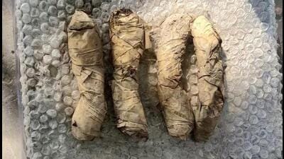 The Border Security Force (BSF) recovered four packets of heroin weighing 312 grams, near the fencing areas at the border in the Ferozepur district of Punjab, officials said on Saturday.