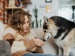 Top 10 best dog dental treats