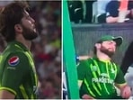 Shaheen Afridi(Twitter) Shaheen Afridi(Twitter)
