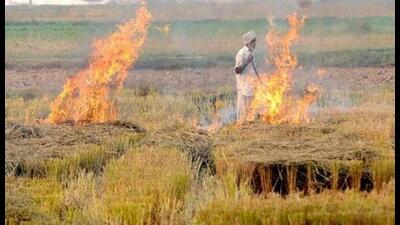 The Punjab government on Sunday made it mandatory for brick kilns across the state to use paddy straw as 20% of their fuel.