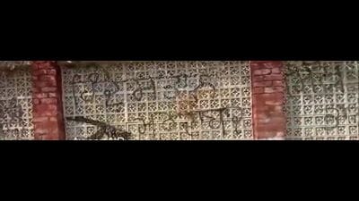 The SSP said that the miscreants used a black spray to make the graffiti on the boundary wall of Dera. (HT Photo)