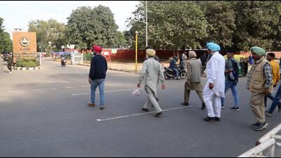 As per official estimates, at least 10,000 people cross the stretch dividing PGIMER and Panjab University on Madhya Marg daily. (HT Photo) As per official estimates, at least 10,000 people cross the stretch dividing PGIMER and Panjab University on Madhya Marg daily. (HT Photo)