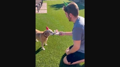The image is taken from the Instagram video that shows a dog named Buster celebrating his 23rd birthday. (Instagram/@thejoebrownofficial))