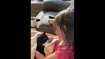 Little girl serenading her cute cat. (Twitter/@buitengebieden) Little girl serenading her cute cat. (Twitter/@buitengebieden)