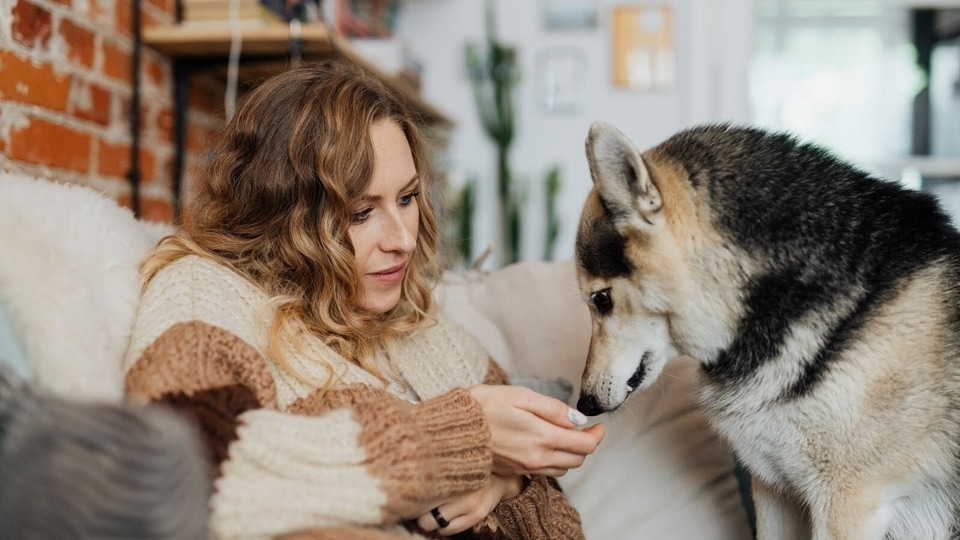 Top 10 best dog dental treats