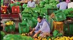 Retail inflation has remained above the Reserve Bank of India’s so-called acceptable limit of 6% (+/-2%) for the tenth straight month. (Representative Image) Retail inflation has remained above the Reserve Bank of India’s so-called acceptable limit of 6% (+/-2%) for the tenth straight month. (Representative Image)