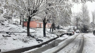 Vehicles are parked on the snow-covered road amid heavy snowfall, near the famous Gulmarg Ski Resort, at Tangmarg, in Baramulla on Monday. (ANI) Vehicles are parked on the snow-covered road amid heavy snowfall, near the famous Gulmarg Ski Resort, at Tangmarg, in Baramulla on Monday. (ANI)