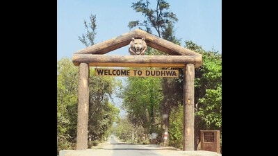 The tourist season at the Dudhwa national park begins from November 15 and ends on June 15 every year. (HT file photo) The tourist season at the Dudhwa national park begins from November 15 and ends on June 15 every year. (HT file photo)