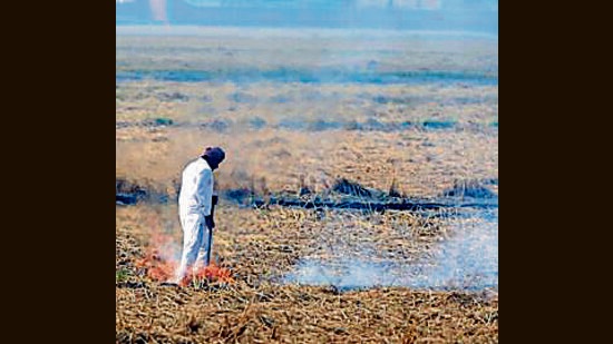 4 nambardars suspended, action against 23 other officials in Fatehabad for failure to check farm fires