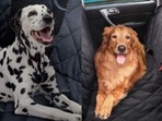 Dog car seat covers should be able to withstand claws.  