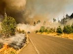 Wildfires are huge source of pollution.(Representative Image/Photo by Marcus Kauffman on Unsplash) Wildfires are huge source of pollution.(Representative Image/Photo by Marcus Kauffman on Unsplash)