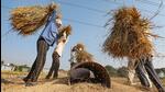 Five out of eight continuous ambient air quality monitoring stations of Punjab calculated air quality as ‘satisfactory’ on Tuesday, indicating that the paddy stubble burning phase is inching towards its end. (PTI picture for representational purpose) Five out of eight continuous ambient air quality monitoring stations of Punjab calculated air quality as ‘satisfactory’ on Tuesday, indicating that the paddy stubble burning phase is inching towards its end. (PTI picture for representational purpose)