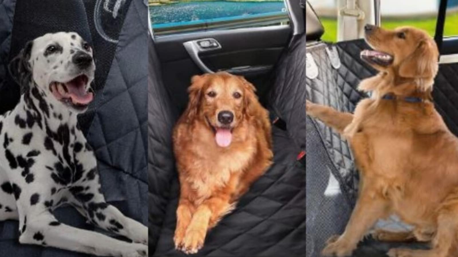 https://images.hindustantimes.com/img/2022/11/15/1600x900/dog_car_seat_covers_1668509125727_1668509183183_1668509183183.jpg