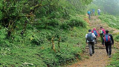 The State Disaster Response Force (SDRF) and Kangra police are engaged in a search to trace the missing US trekker, last seen on November 8. (HT file photo) The State Disaster Response Force (SDRF) and Kangra police are engaged in a search to trace the missing US trekker, last seen on November 8. (HT file photo)