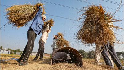 Five out of eight continuous ambient air quality monitoring stations of Punjab calculated air quality as ‘satisfactory’ on Tuesday, indicating that the paddy stubble burning phase is inching towards its end. (PTI picture for representational purpose) Five out of eight continuous ambient air quality monitoring stations of Punjab calculated air quality as ‘satisfactory’ on Tuesday, indicating that the paddy stubble burning phase is inching towards its end. (PTI picture for representational purpose)