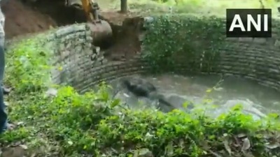 The image, taken from the Twitter video, shows the elephant being rescued from a well in Andhra Pradesh’s Chittoor using an excavator. (Twitter/@ANI)