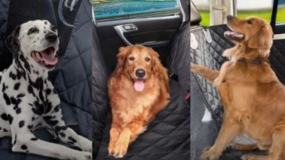 Best suv clearance dog seat cover