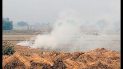 Measures should be taken to prevent stubble burning by setting up camps in sensitive villages, stated the chief minister. (File Photo) Measures should be taken to prevent stubble burning by setting up camps in sensitive villages, stated the chief minister. (File Photo)