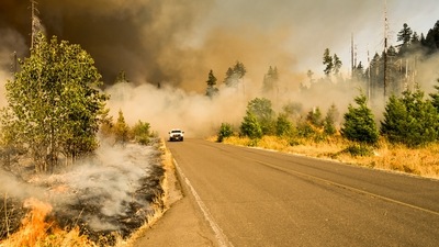Wildfires are huge source of pollution. (Representative Image/Photo by Marcus Kauffman on Unsplash) Wildfires are huge source of pollution. (Representative Image/Photo by Marcus Kauffman on Unsplash)