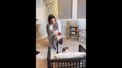 Pet mom Fifi dancing to Taylor Swift's Love Story while her cat is 'recording' her. (Instagram/@dontstopmeowing) Pet mom Fifi dancing to Taylor Swift's Love Story while her cat is 'recording' her. (Instagram/@dontstopmeowing)