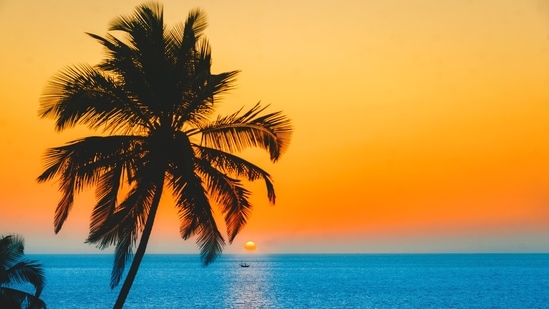 Goa: The nicest and most well-liked place for a bachelorette party in India is certainly Goa. The craziness that is North Goa is the solution to your prayers if you want to be out and about late at night partying or visiting some popular shacks. However, South Goa might be your cup of tea if you're looking for a more laid-back, luxurious hotel atmosphere. Goa has some great resorts that range in price from low to high-end, and the beachy atmosphere is ideal for your bachelorette.(Unsplash)