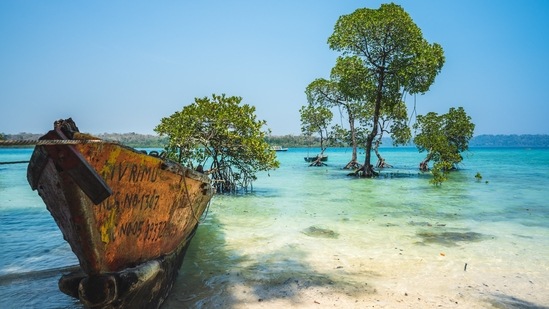 Andamans & Nicobar Islands: Cocktails, sunblock, and tanning by the pristine coastlines of clear waters are all things you may do in the Andaman Islands, but there is much more to see and do there. Nothing like sun, sand, and singledom to celebrate with—the ideal location to go diving, discover uninhabited islands, and get the perfect tan to go with your bridal gown! The island has many excellent diving locations. Obtain your diving certification while on vacation in clear waters!(Unsplash)