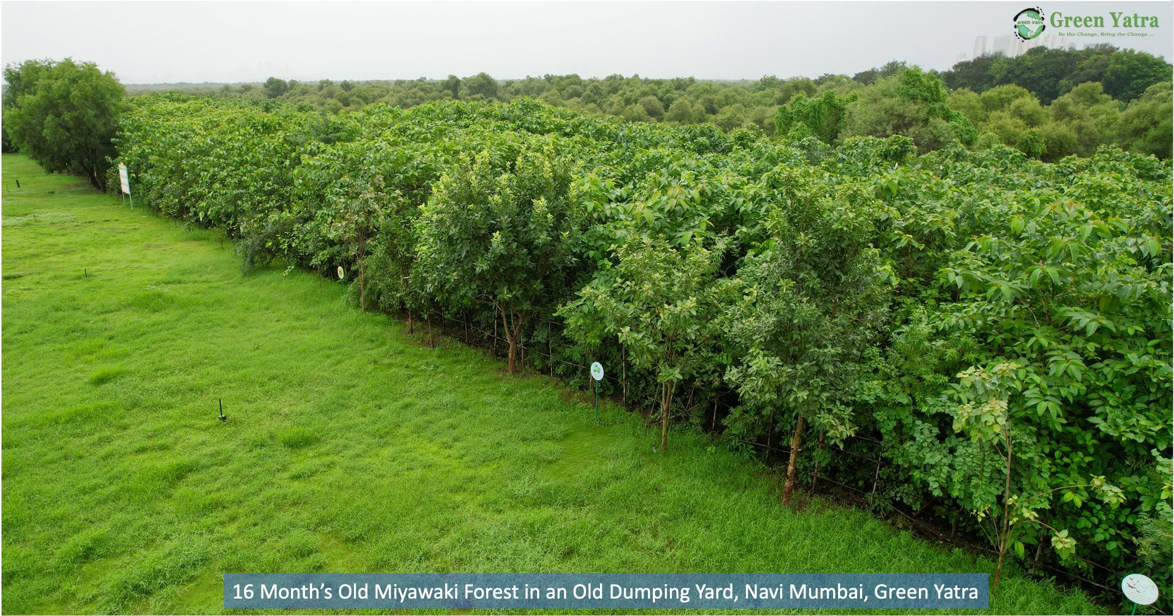 Mumbai-based NGOs that are working towards a better tomorrow