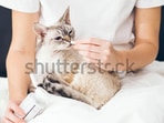 Skin And Coat Supplements For Your Cat