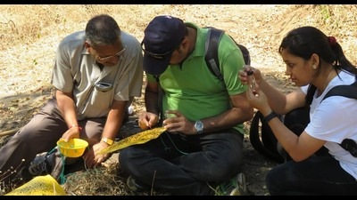 Amit Yadav (L) and his team during the study. (HT PHOTO) Amit Yadav (L) and his team during the study. (HT PHOTO)