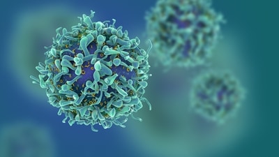 A novel immunotherapy could bolster cancer treatment : Study (Shutterstock) A novel immunotherapy could bolster cancer treatment : Study (Shutterstock)