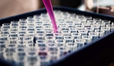 Patients with type 2 diabetes experience increased cancer diagnoses: Study (Unsplash) Patients with type 2 diabetes experience increased cancer diagnoses: Study (Unsplash)