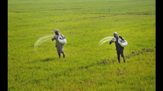 Bio-stimulant is any substance or microorganism applied to plants with the aim to enhance nutrition efficiency, abiotic stress tolerance and/or crop quality traits, regardless of its nutrient content.