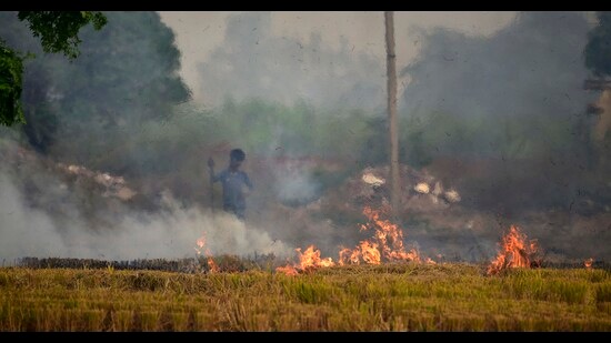 A farmer burns stubble on the outskirts of Ludhiana. (HT File)