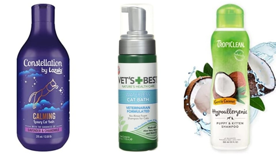 8 best cat shampoos that are purr-fect