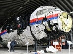 FILE PHOTO: MH17 wreckage 