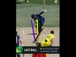 Starc left Roy all over the place with the delivery Starc left Roy all over the place with the delivery