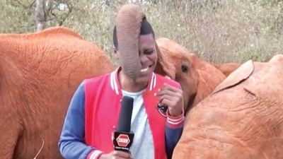 Journalist Alvin Kaunda was filming from an elephant orphanage in Kenya when the elephant approached.
