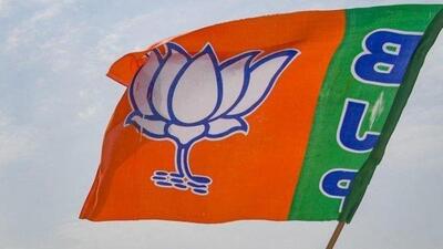 Konkani is a social worker and farmer, although he has been an active BJP member since 1995 (Representative Image) Konkani is a social worker and farmer, although he has been an active BJP member since 1995 (Representative Image)