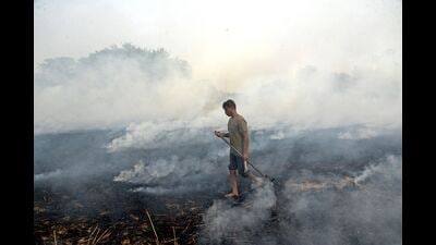 A farmer burns stubble after a harvest in a paddy field on the outskirts of Jalandhar on November 3, 2022. (AFP)