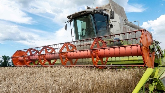 Russia-Ukraine War: A farmer harvesting a wheat field with a combine harvester in the Ukrainian Kharkiv region.(AFP)