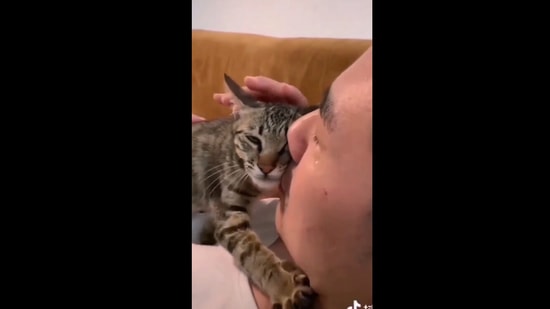 Pet cat takes care of the owner. (Instagram/@buitengebieden)