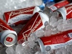 The issue of alcohol has been contentious ever since the FIFA World Cup was awarded to Qatar in 2010.