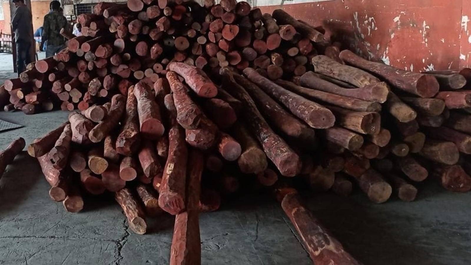 CHANDHRA SHEKAR on LinkedIn: #highreturns #bamboo #sansalwood #agarwood  #redsandalwood #farming…