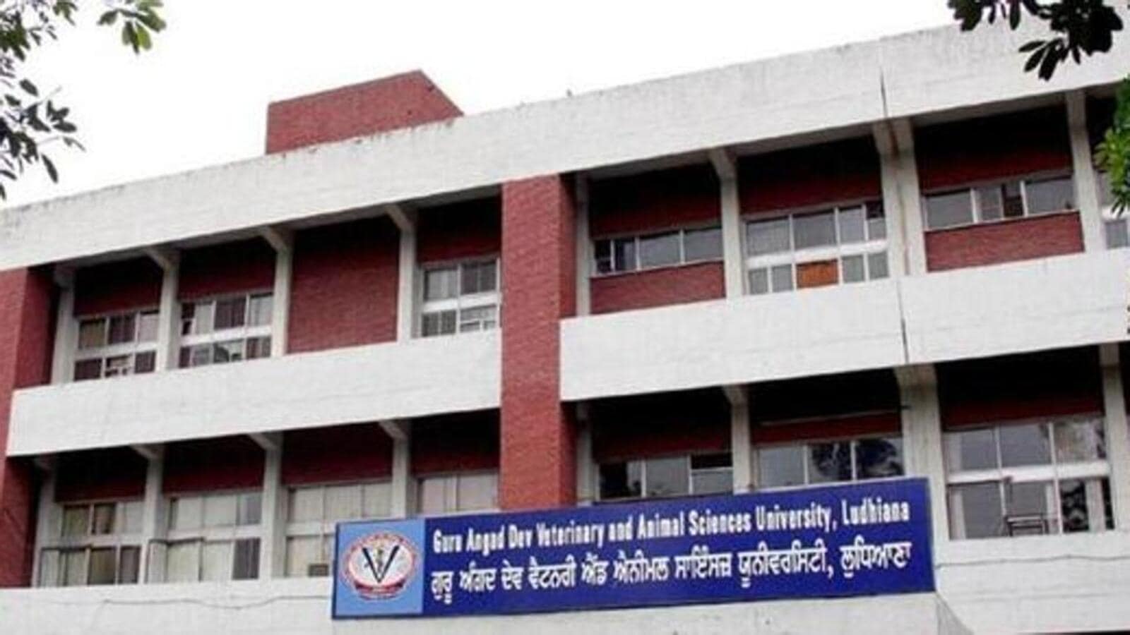 Ludhiana: GADVASU V-C perturbed about PG courses being run sans faculty, infra in colleges - Hindustan Times Ludhiana: GADVASU V-C perturbed about PG courses being run sans faculty, infra in colleges - Hindustan Times