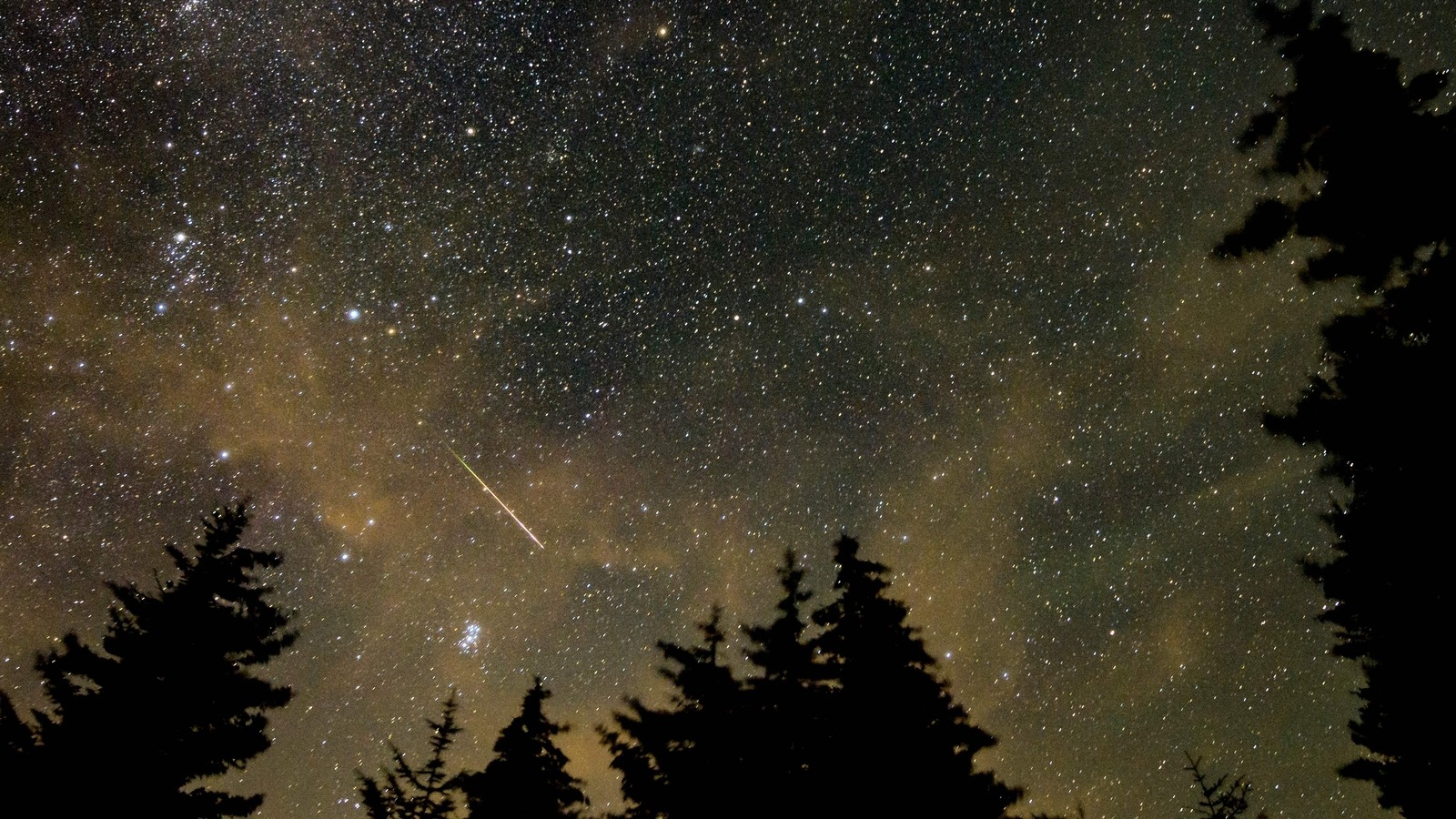 Leonid Meteor Shower Set To Light Up UK's Night Sky: All You Need To ...