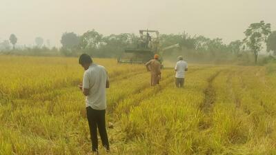 Farmers visited PAU, Ludhiana, to have an in-depth understanding of Punjab’s agro-based enterprises such as beekeeping, mushroom production and agro-processing. (HT FILE)