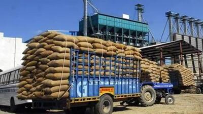 Trucks carrying premium basmati paddy from outside the state brought by Punjab-based exporters are stranded at the Sambhu border in Patiala as the mandi board said it would not allow the passage of the grain without scrutiny fearing parmal varieties might be smuggled along with the premium grain. (HT File Photo) Trucks carrying premium basmati paddy from outside the state brought by Punjab-based exporters are stranded at the Sambhu border in Patiala as the mandi board said it would not allow the passage of the grain without scrutiny fearing parmal varieties might be smuggled along with the premium grain. (HT File Photo)